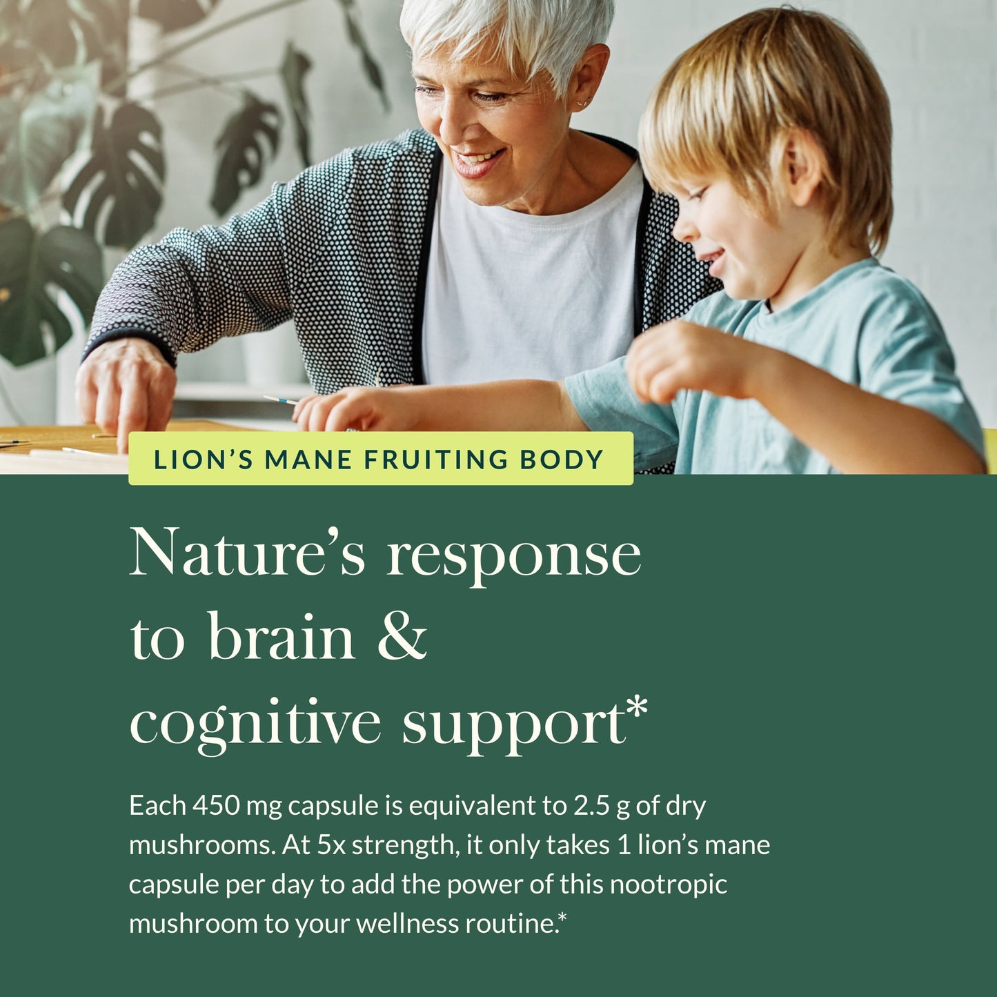 , Lion'S Mane Mushroom, Organic & Sustainably Sourced, Brain & Nerve Support, No Grain & Rice Fillers, Vegan Herbal Supplement, 40-Count