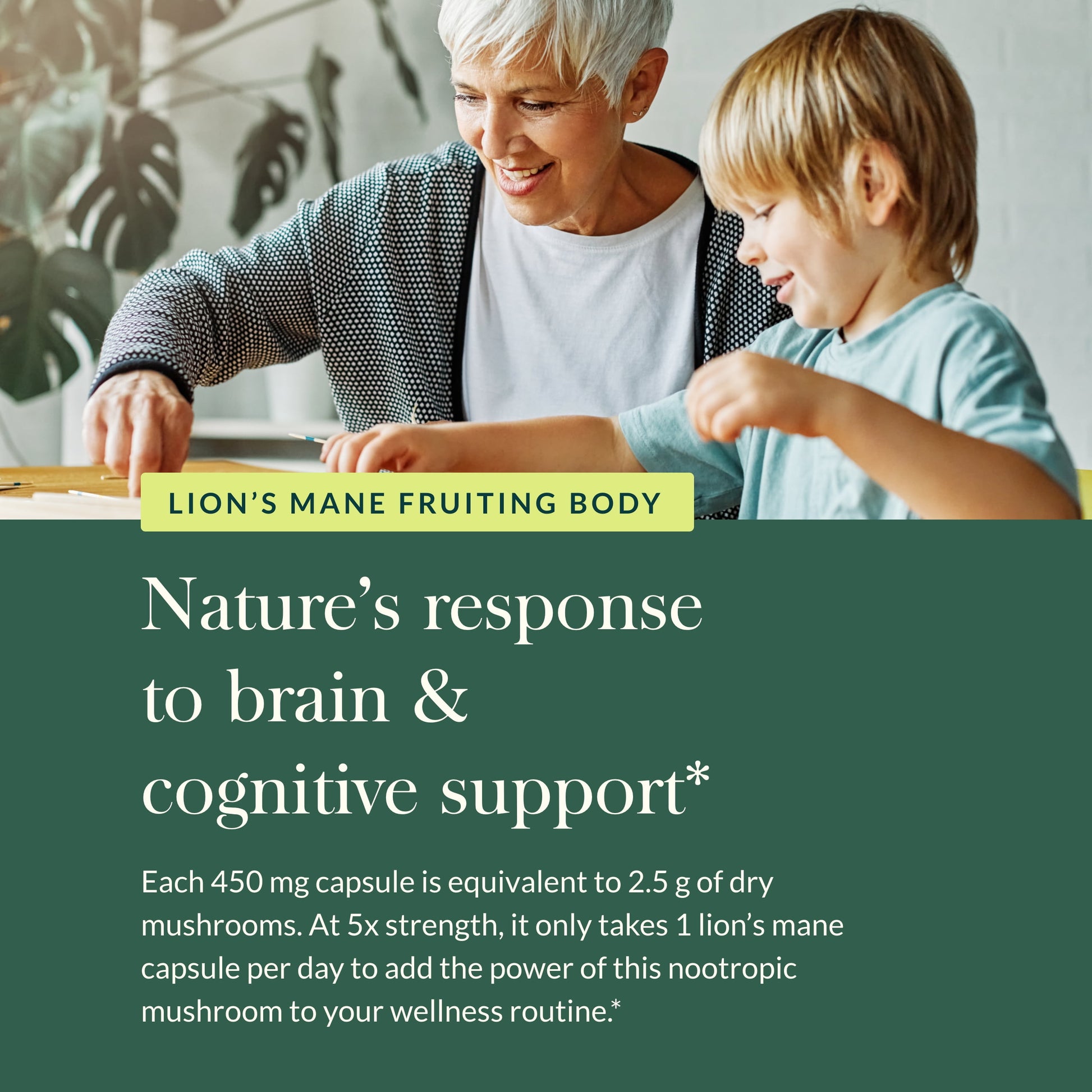 , Lion'S Mane Mushroom, Organic & Sustainably Sourced, Brain & Nerve Support, No Grain & Rice Fillers, Vegan Herbal Supplement, 40-Count