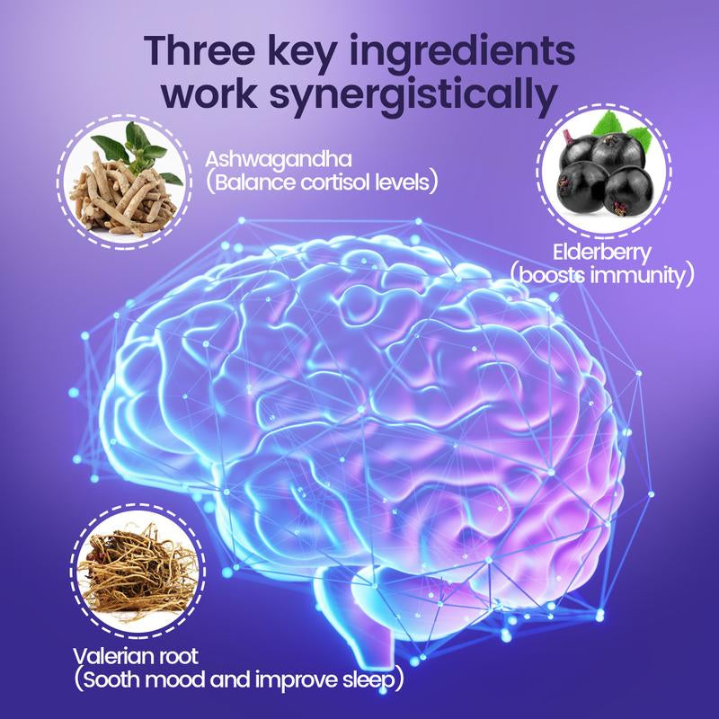NOORUZ Vegan Ashwagandha, Elderberry, and Valerian Root Gummies - Plant-Based Extracts, Non-GMO, Gluten-Free, Gelatin-Free, Supports Healthy Cortisol Levels